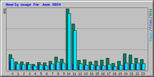 Hourly usage for June 2024