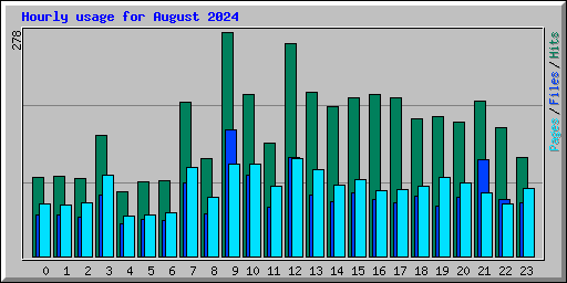 Hourly usage for August 2024