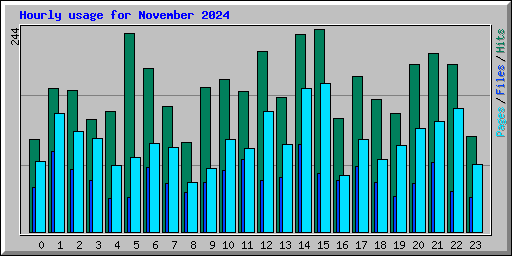 Hourly usage for November 2024